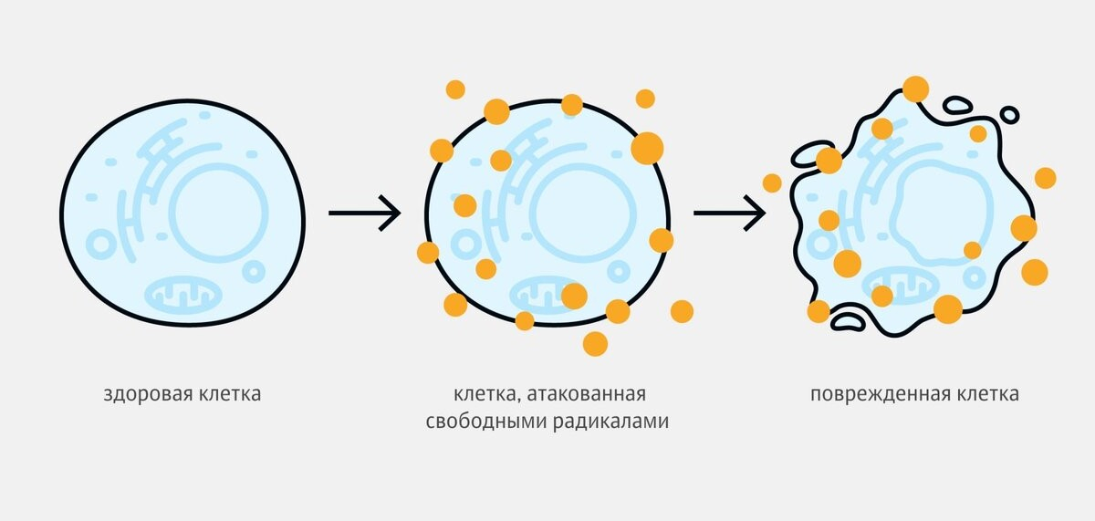 Оксидативный стресс:  влияние на зачатие